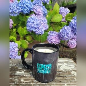 Harry Potter candle butterscotch chai scented